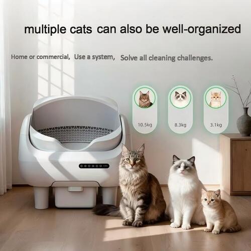 Последние решения компании о Основная энергия, чистая жизнь. Футенг Мотор × ПЭТЖК Умная кошачья коробка для мусора.