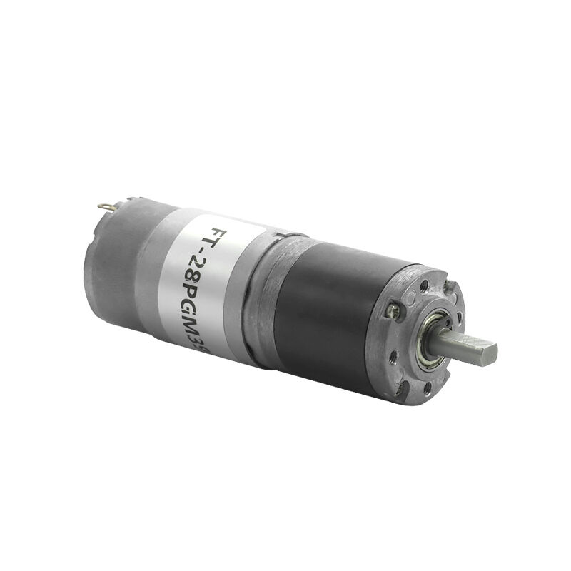 Futeng Factory Odm 28mm Planetary Mini Dc Gearmotor 6v 12v 24v for Rc ...