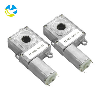 Bom preço Fabricante de motores de corrente contínua por grosso 6V 12V 24V Micro motor de engrenagem de corrente contínua para equipamento inteligente Eletrodoméstico on-line
