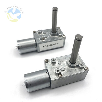 Goede prijs OEM ODM Custom High Torque 12v 24v Mini Lage Toerental Borstel DC Elektrische Wormwielmotor voor Robot online