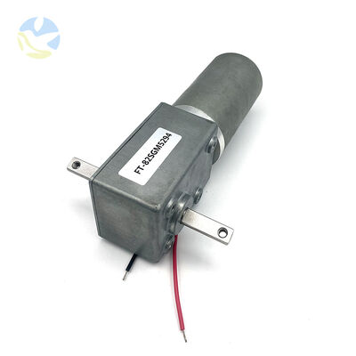 Goede prijs Aangepaste FT-82SGM5294 Dubbele Uitgaande As Hoog Koppel Hoog Vermogen DC Wormwiel Borstelloze Elektrische Motor online