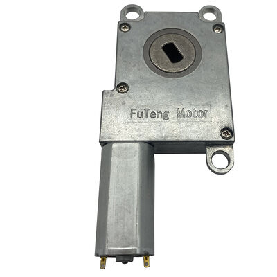 Bom preço China Gráfico Standard FT-63SGM190 8V Worm Gear Motor para fechadura de porta inteligente on-line