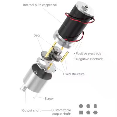 Guter Preis FT-37RGM31ZY Elektromotor, ausgezeichnete Qualität, großes Drehmoment, hoher Wirkungsgrad, leise, 5V 6V 12V 24V, Mini-Getriebemotor mit niedriger Drehzahl Online