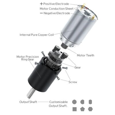 Buon prezzo FT-24PGM370 12v 24 Volt Motore a Riduzione a Struttura Planetaria Solare ad Alta Precisione e Coppia Elevata a Bassa Velocità e Alta Efficienza in linea