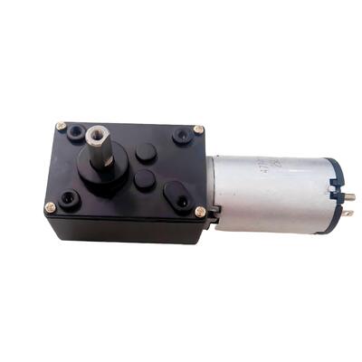 Guter Preis FT-58SGM447 EMC Motoren Ausgezeichnete Qualität Großes Drehmoment Hohe Effizienz Leise 12V 5-10 U/min Langsame Geschwindigkeit Auto Selbstreinigung Katzenklo Motor Online