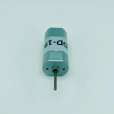 Harga yang bagus FT-190 Motor Listrik DC Torsi Tinggi 1W 3W 5W 6W 10W 15W Motor DC Brushed on line