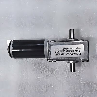 Good price  FT-58SGM31ZY-548K 12V 7±12% Rpm Double Shaft Worm Gear Motors for Wireless Robotic Lawn Mower online